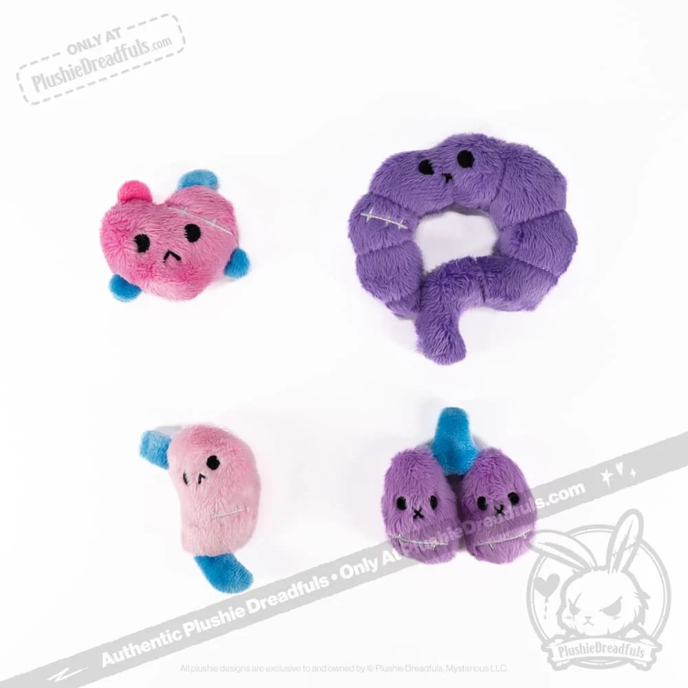 Plushie Dreadfuls - Bone Organ Izer Bunny  - Plush Stuffed Animal - Image 6
